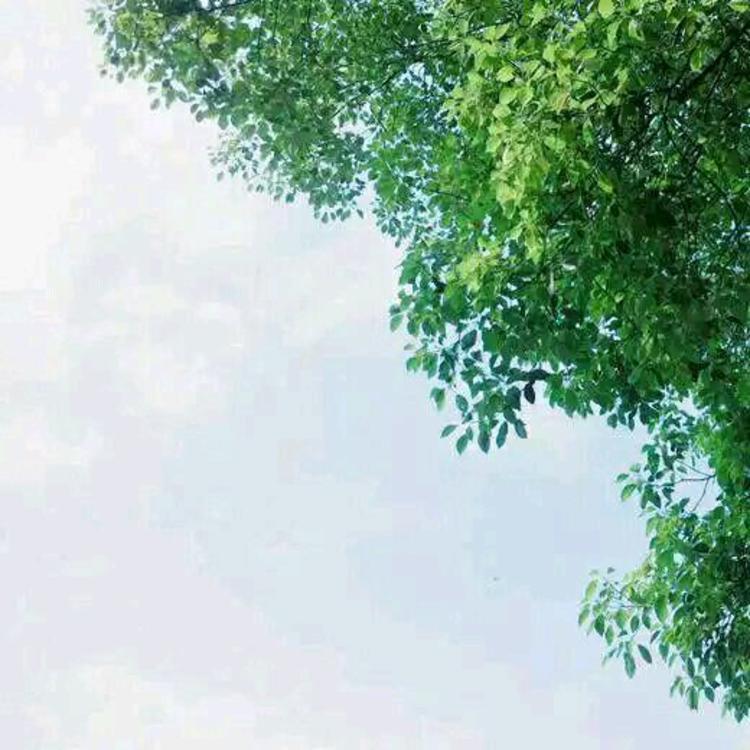 东京（明治维新后故事主要发生地） - 辣舞影视网址在线观看21 - 线上视频
